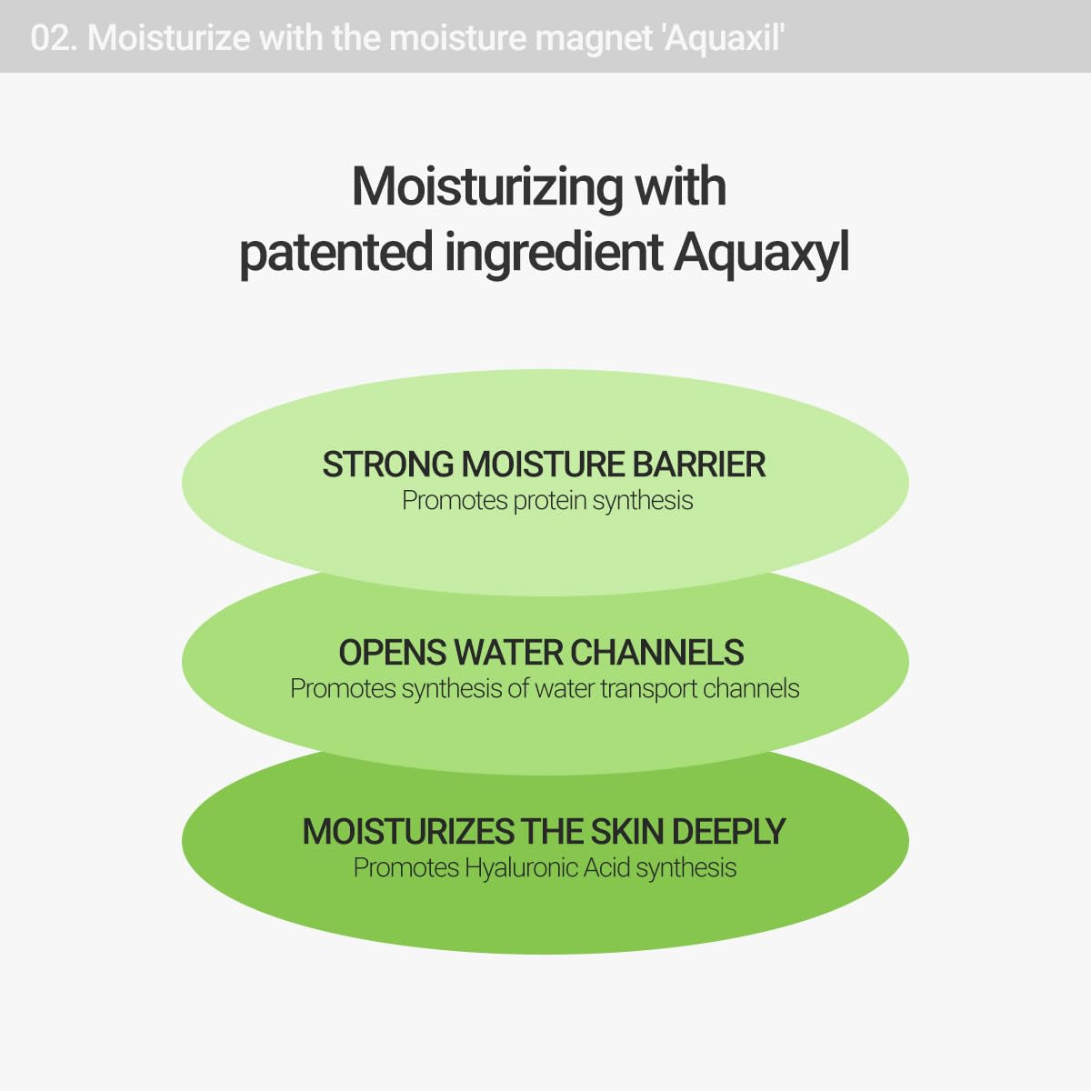 Calming Lotus Cream – Lightweight Hydrating & Soothing Moisturizer Face Cream for Sensitive Skin | 75% Lotus Water Extract & Niacinamide for Anti-Aging | Vegan Korean Skincare (2.03 Fl Oz)